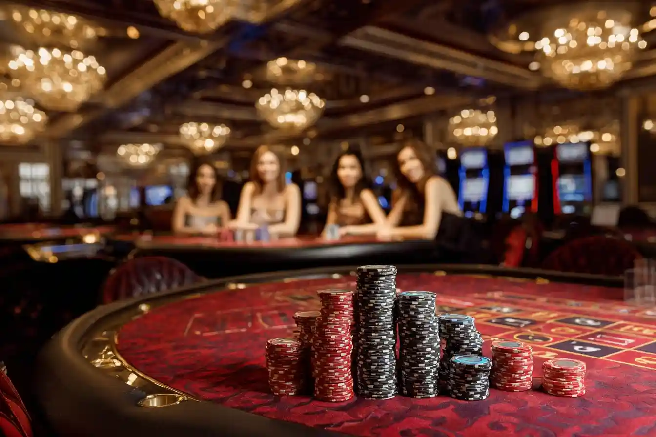 pandamaster backend login