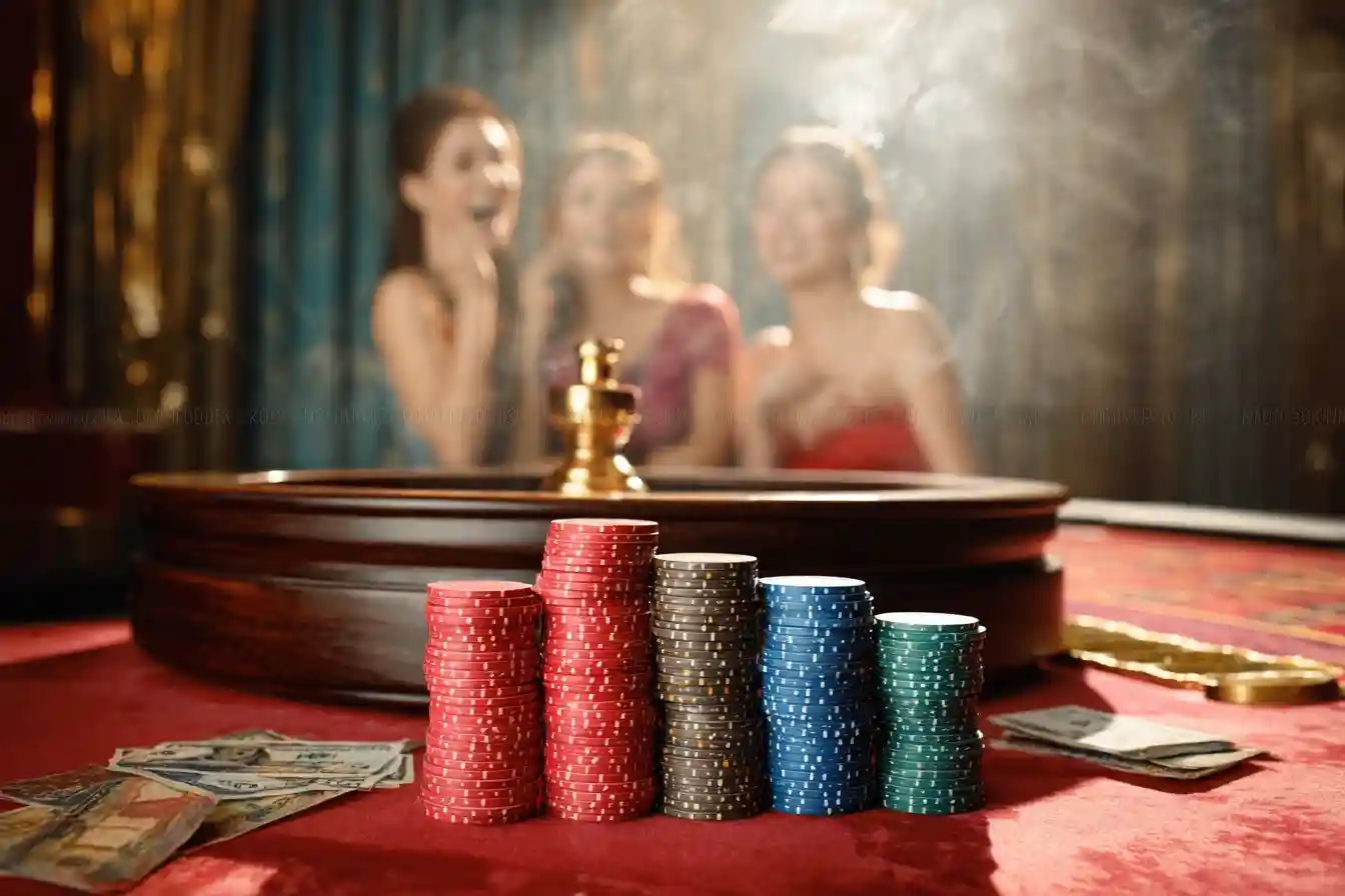 pandamaster vip login