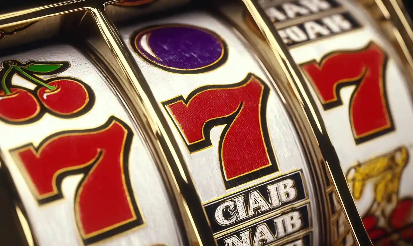 pandamaster vip login